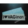 I LOVE VAGINAS
